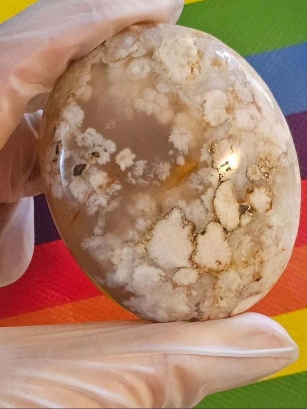 ✨️LARGE Flower Agate Palm Stone✨️Stunning Plumes✨️UV Reactive✨️Crystal Decor Art